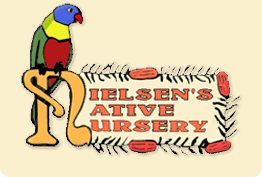 Nielsen's Native Nursery